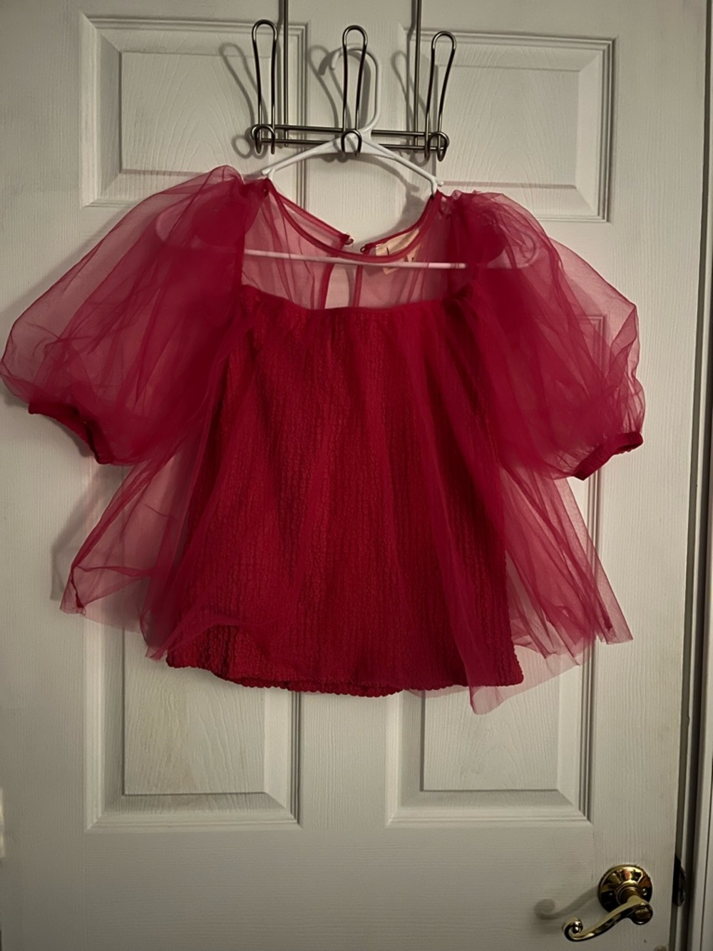 Sheer Puff Sleeve pink Blouse